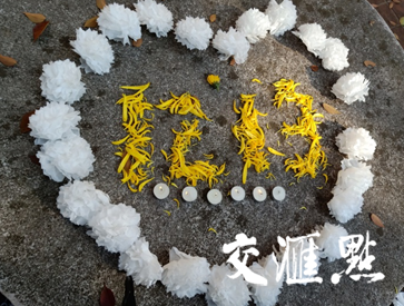 https://jcdn.xhby.net/JHD/publish/20191212/1576143592658084065.png